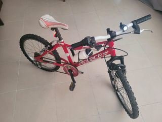 Bicicleta niño 20 pulgadas 
