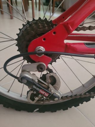 Bicicleta niño 20 pulgadas 
