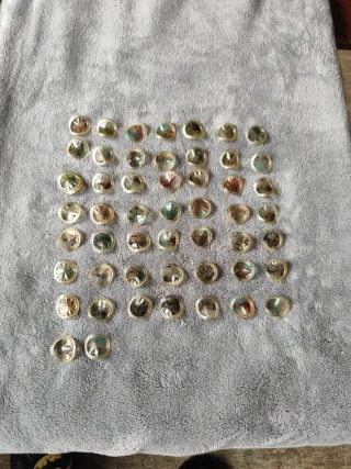 Transparencias Coca-Cola Montreal 76. Leer