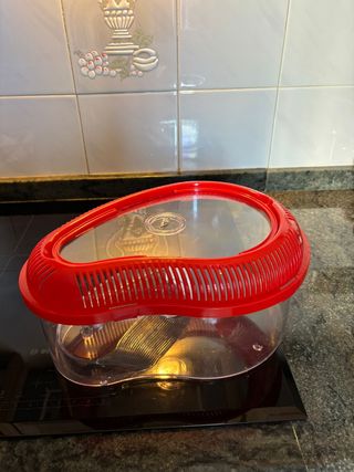 Terrario con lámpara - Decoración y Trasportín.