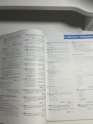 Inicia Matemáticas aplicadas a las Ciencias Soc...