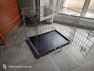 Gabbia per Cani - Kennel Box