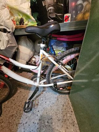 Bicicleta Topbike Mujer