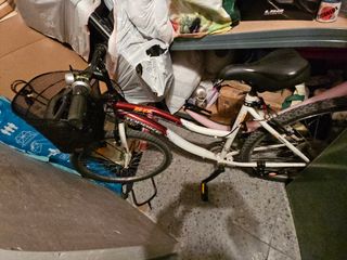Bicicleta Topbike Mujer