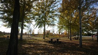 PARCELA EN ALDEAMAYOR S.MARTIN (VALLADOLID)