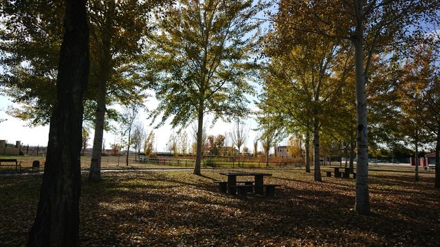 PARCELA EN ALDEAMAYOR S.MARTIN (VALLADOLID)