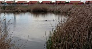 PARCELA EN ALDEAMAYOR S.MARTIN (VALLADOLID)