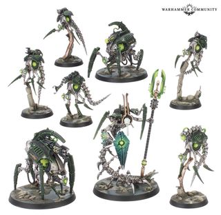 Kill Team Necrones: Círculo Canóptico