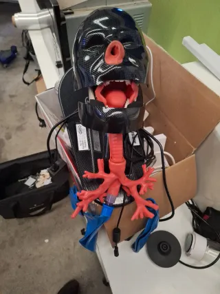 Mini Anne Laerdal RCP