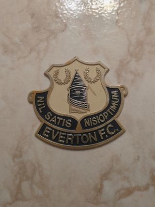 Insignia Everton FC vintage