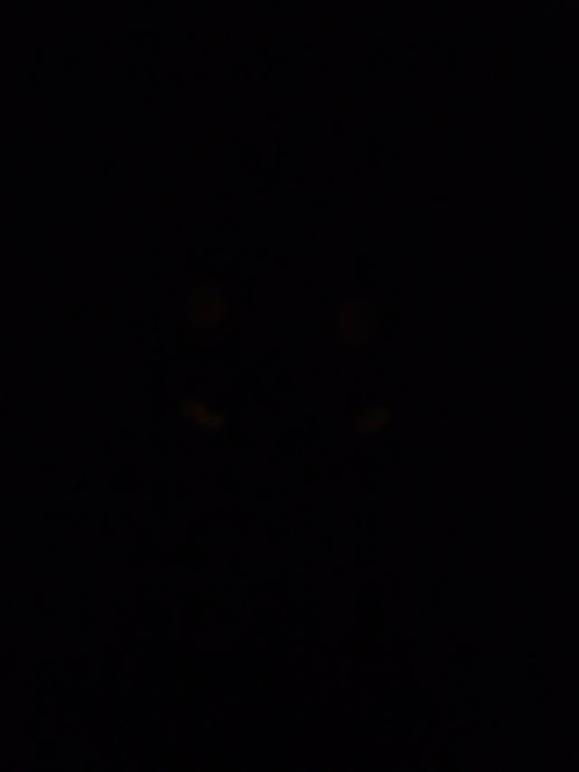 Funko Starlight/Starlight, I ragazzi (Glow Chase)