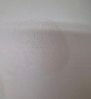 Livro Primeiras Pinturas - Os Alimentos