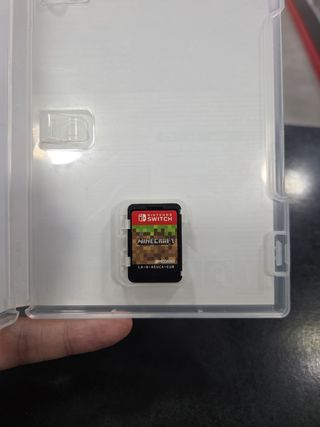 Minecraft Nintendo Switch