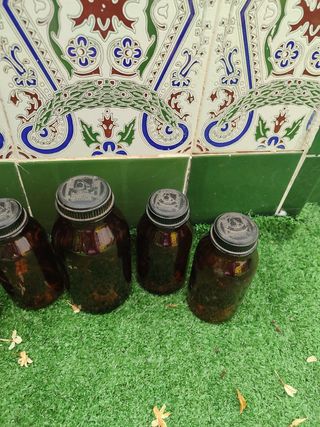 5 Botes busquets ámbar farmacia vintage