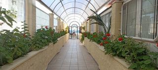 Apartamento Benidorm - 16 Dic - 10 Ene