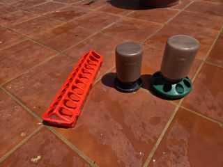 Comederos y bebederos pollitos