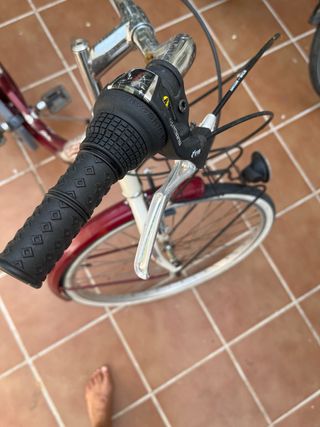 Negociable
Bicicleta Cintia Liberty paseo 