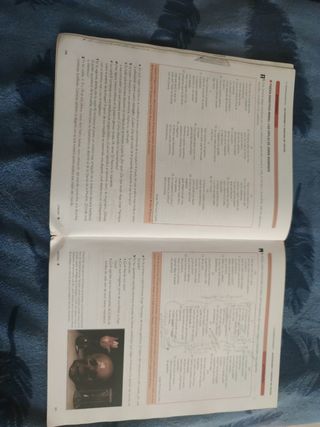 Lengua castellana y Literatura 1 Bachillerato (...