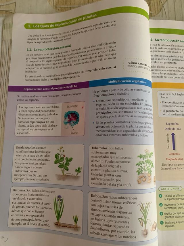 BIOLOGIA, GEOLOGIA Y CIENCIAS AMBIENTALES 1 BTO...