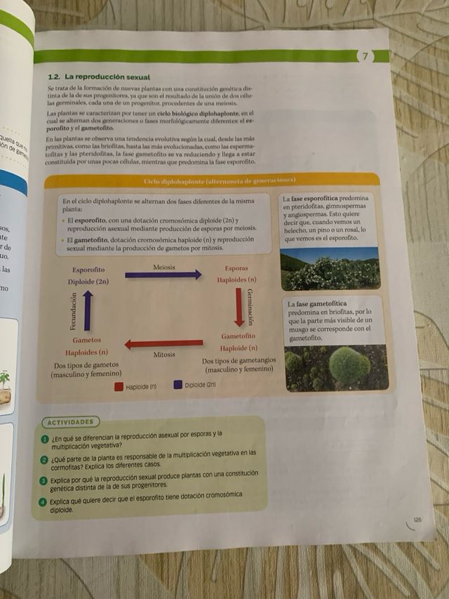 BIOLOGIA, GEOLOGIA Y CIENCIAS AMBIENTALES 1 BTO...
