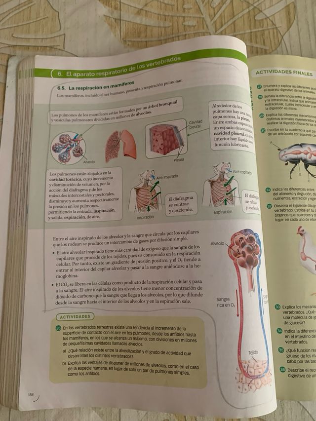 BIOLOGIA, GEOLOGIA Y CIENCIAS AMBIENTALES 1 BTO...