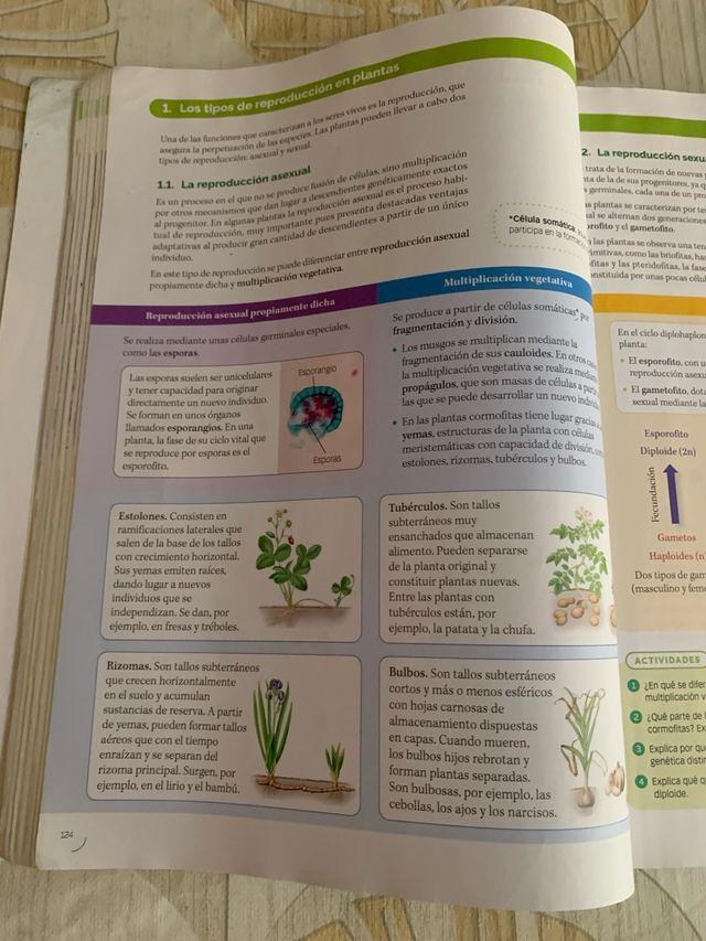 BIOLOGIA, GEOLOGIA Y CIENCIAS AMBIENTALES 1 BTO...