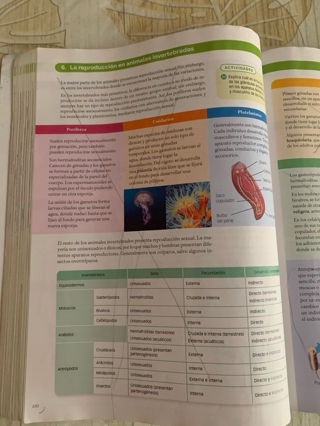 BIOLOGIA, GEOLOGIA Y CIENCIAS AMBIENTALES 1 BTO...