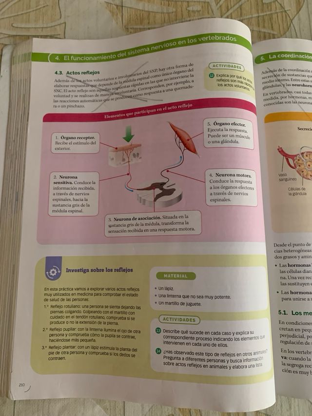BIOLOGIA, GEOLOGIA Y CIENCIAS AMBIENTALES 1 BTO...
