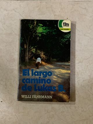 el largo camino de Lucas B.