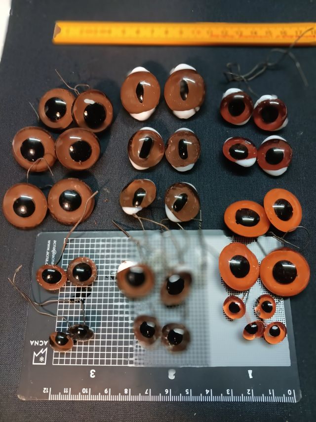 Ojos cristal marrones taxidermia