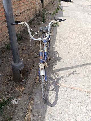 Bicicleta clásica Dervi Ravasa