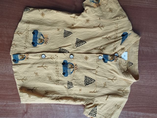 Lote ropa niño verano: 4 camisas + 3 shorts