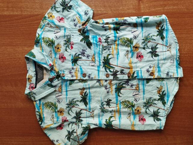 Lote ropa niño verano: 4 camisas + 3 shorts