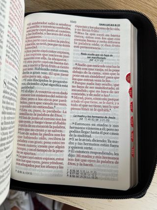 Biblia RVR 1960 letra grande 