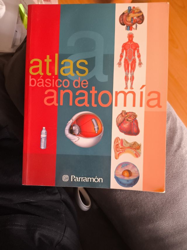 ATLAS BASICO DE ANATOMIA /PARRAMON