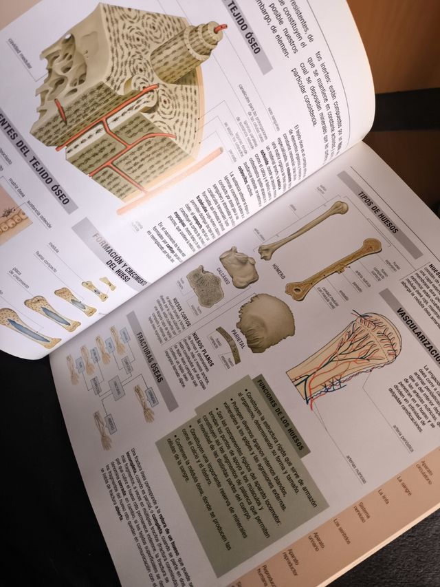 ATLAS BASICO DE ANATOMIA /PARRAMON