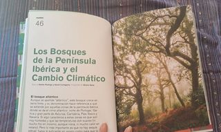 Revista Pantera - n⁰ 1