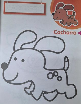 Livro Primeiras Pinturas - A Quinta