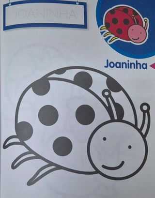 Livro Primeiras Pinturas - A Quinta