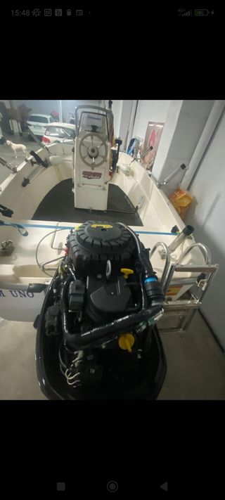 Motor Mercury 30 CV - Fuera borda (solo con 35 hor