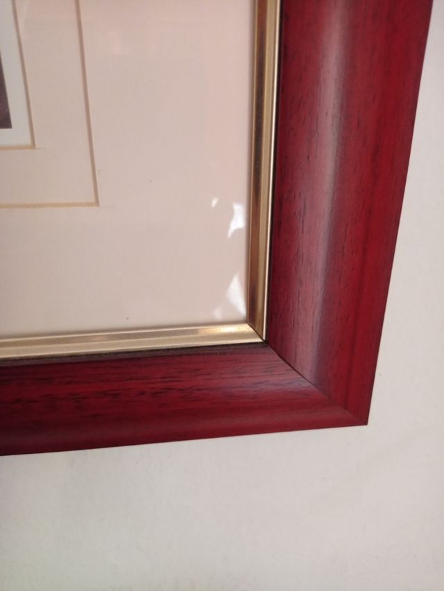 Cuadro enmarcado - Figura femenina