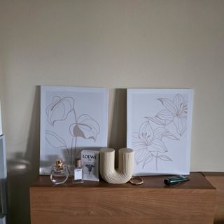 Láminas botánicas - Beige/Marrón lienzos bohemio