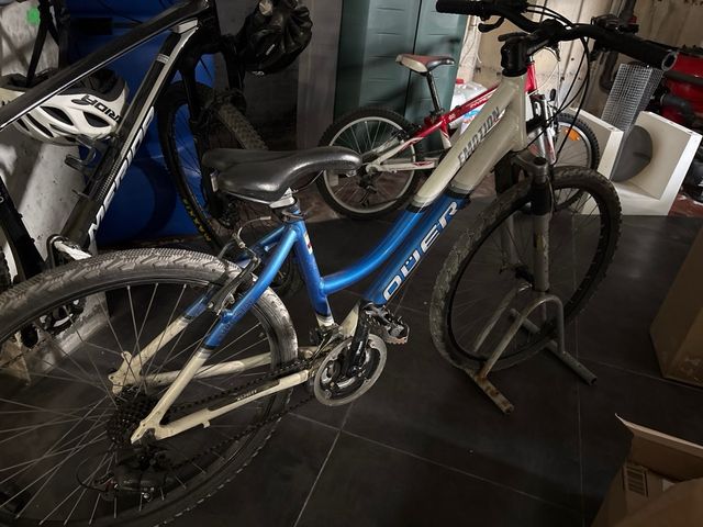 Bicicleta Mujer Olmo Emotion