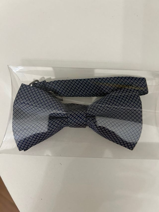 Papillon uomo seta blu/bianco