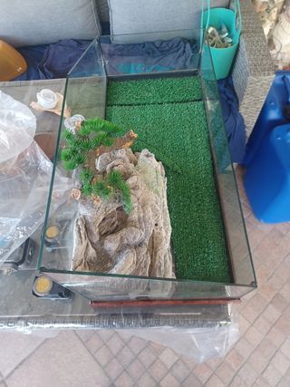Tartarughiera vetro 66x29x16 cm