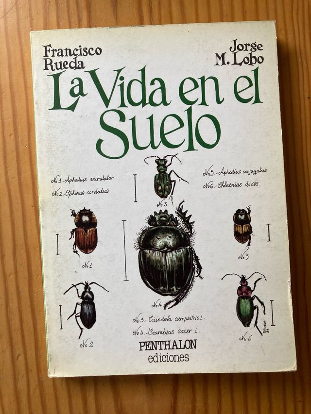 La vida en el suelo