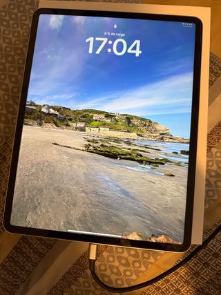 iPad Pro 4ª generación 12,9” 256Gb - Plata wifi 