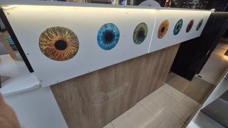 Kiosco mostrador expositor madera stand quiosco