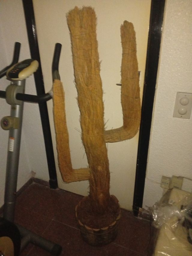 Cactus decorativo madera - Jardín