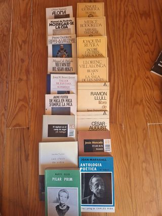 LITERATURA Y POESIA CATALANA